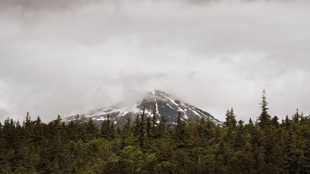 Beautiful view from an elopement in Alaska