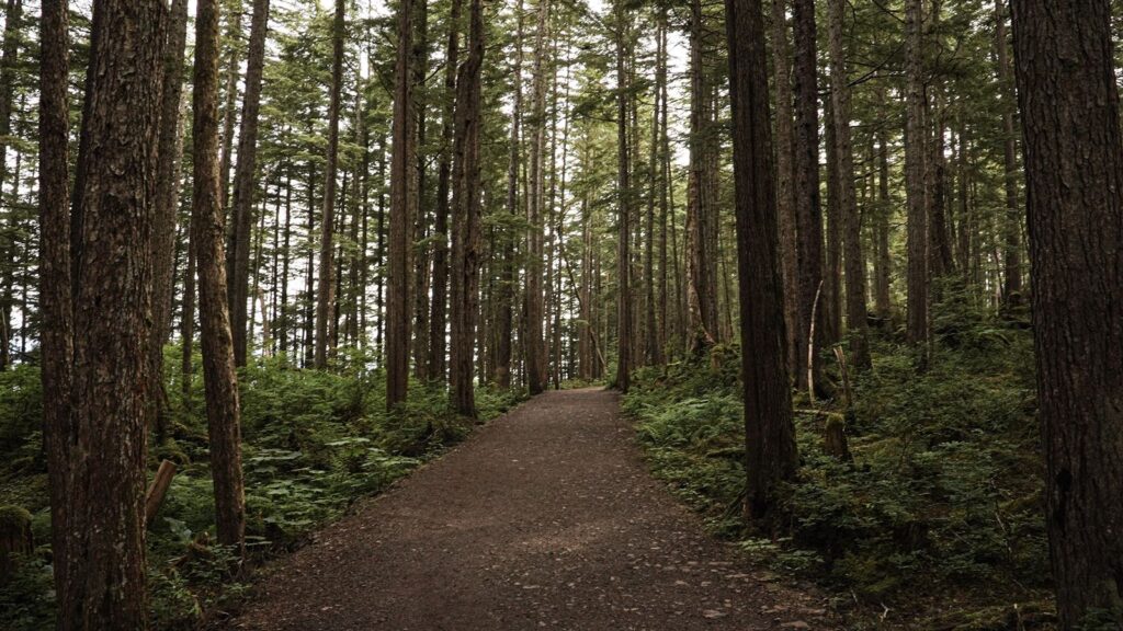 Hiking trail towards secret intimate elopement spot