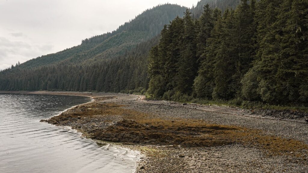 Icy Strait Alaska beautiful elopement gem